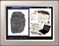 An interactive look at the latest in scientific crime-solving! | Your students will be introduced to the fundamentals of all of the major aspects of forensic science, including fingerprinting, DNA analysis, ballistics, materials analysis, forgery and serology. | Current techniques in each of these fields are presented via an engaging, on-screen format which is accompanied by complementary activities and related links.