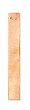 Load image into Gallery viewer, American Educational Flat Copper Electrodes, 5&quot; Length x 3/4&quot; Width
