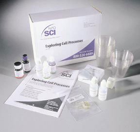 SciEd Exploring Cell Processes Lab Investigation Kit – SciencePurchase