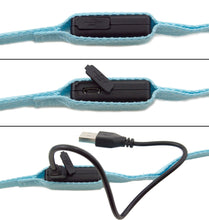 Load image into Gallery viewer, Blue 4 Foot Illuminated LED Pet Leash - Recharged via USB (Charger Included)

