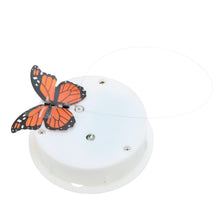 Load image into Gallery viewer, Animated Electric Wanderer Butterfly in a Glass Jar - Tap to Activate - Illuminated
