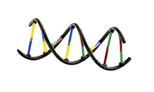 Load image into Gallery viewer, Thames &amp; Kosmos Biology Genetics and DNA
