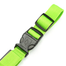 Load image into Gallery viewer, Green Light-Up LED Adjustable Pet Collar (Flashing or Steady Modes) - Rechargeable via USB Cable (Included) (Small)
