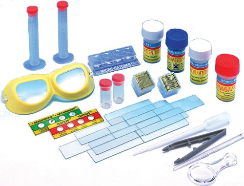 Get started in the fascinating study of the microscopic world | Make your own microscope slides | Learn how to view them | Complete kit with clearly written instructions | Hatch your own brine shrimp for microscopic study
