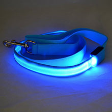 Load image into Gallery viewer, Blue 4 Foot Illuminated LED Pet Leash - Recharged via USB (Charger Included)

