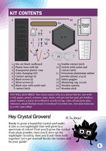 Load image into Gallery viewer, Thames &amp; Kosmos Crystal Nightlight
