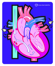 Load image into Gallery viewer, American Educational Human Heart Walk-Thru Mat, 60&quot; Length x 50&quot; Width
