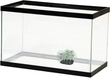 Load image into Gallery viewer, UV Glowing Silicone Faux Palythoa Coral Fish Tank Decoration with Weighted Base for Aquarium Fish Tanks, Green Accent Glows Under UV Blacklight
