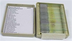 Set of 25 prepared slides, includingmitosis in plants, pollen grains w.m., amoeba w.m., yeast cells w.m., green algae spirogyra | Labeling provides specimen identification | Slides are composed of plastic for clear viewing | Science Purchase  | 
