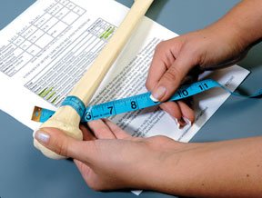 Grades 7 to 10 | Class size: 40 students | Provide a summary of forensic findings | As lead investigators, students play the role of forensic anthropologists to assist in a murder investigation involving co-mingled skeletal remains | Determine ancestry, age, stature, presence of disease, cause of death and identity of recovered remains | Perform toxicological analysis on recovered soil samples | 