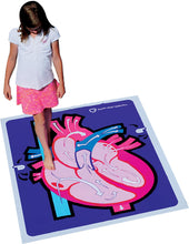 Load image into Gallery viewer, American Educational Human Heart Walk-Thru Mat, 60&quot; Length x 50&quot; Width
