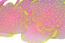 Load image into Gallery viewer, UV Glowing Silicone Faux Discosoma Mushroom Pink Coral Decoration with Suction Cup Base for Aquarium Fish Tanks, Yellow Accent Glows Under UV Blacklight
