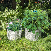 Load image into Gallery viewer, Set of Two Different Size (1½ Gallons and 1 Gallon) Galvanized Ribbed Flower Pots for Indoor or Outdoor Plants - Rustic Look, Ideal for Farmhouse Theme
