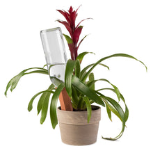 Load image into Gallery viewer, Set of 4 Plant Sitter Self-Watering Stakes for Indoor and Outdoor Plants
