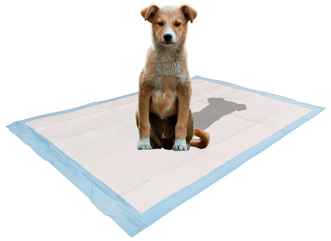 Large Leak-Proof Pee Pads for Dogs, 5 Layers with Attractive Scent to Improve Potty Training Success, 24