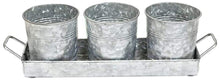 Load image into Gallery viewer, Set of 3 Galvanized Metal 5-Inch Flower Pots with Caddy Tray for Plants &amp; Herbs or Silverware - Rustic Country, Mid-Century, Farmhouse Garden, Kitchen
