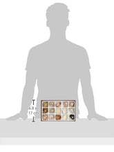 Load image into Gallery viewer, 15 Piece Sedimentary Rock Set, Ideal for Teaching Grades 5-12
