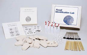 Fossil Testing | Great for Teachers, Students looking to gain knowledge of Fossil Identification.