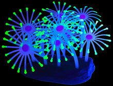 Load image into Gallery viewer, UV Glowing Silicone Faux Palythoa Coral Fish Tank Decoration with Weighted Base for Aquarium Fish Tanks, Green Accent Glows Under UV Blacklight
