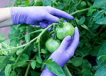 Load image into Gallery viewer, 100 Count ADULT SIZE Colored Latex Gloves for Crafting (Pink, Orange, Blue, Green, Purple)
