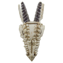 Load image into Gallery viewer, Snarling Magical Dragon Skull Creepy Coin Piggy Bank Polyresin Stash Storage Box
