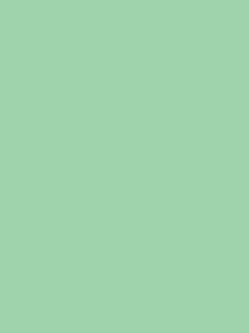 Brightly-colored, high-strength, heavyweight construction paper with long, strong fibers that cut clean and fold evenly without cracking. | All purpose, high bulk, smooth textured. | -This heavyweight paper can be folded, scored and curled without cracking. | Cuts clean and folds evenly without cracking | 