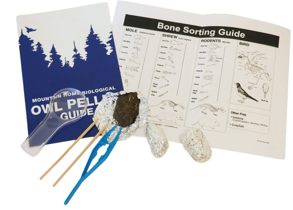 Owl Pellet Kit - Includes 3 Pellets, Tweezers, Probe, Magnifying Glass, and Student Guide