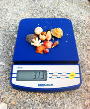 Load image into Gallery viewer, Adam Equipment DCT 2000 Dune Compact Portable Balance, 2000g Capacity and 1g Readability
