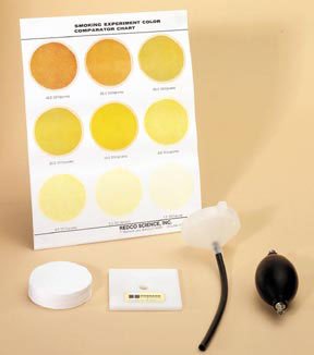 Effects of Smoking Refill Filters (Set/25) | Great for Learning the effects of Smoke.