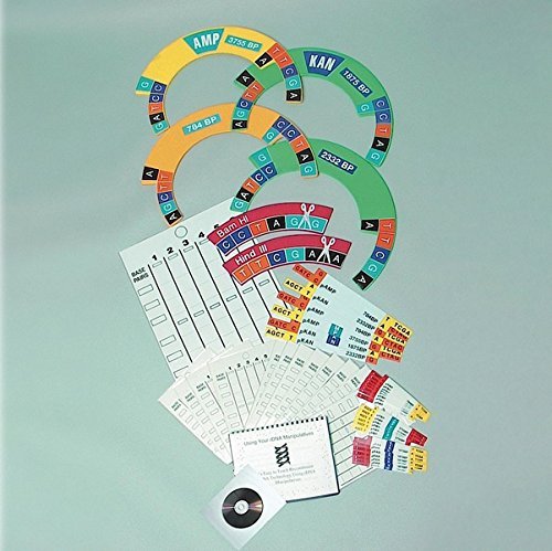 DNA Manipulatives Kit